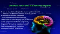 Français facile Authentique - Comment apprendre la langue française rapidement et facilement ?