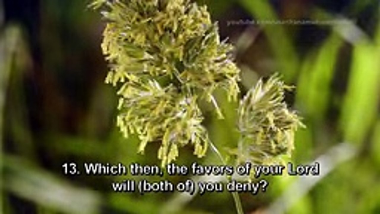 Surah Rahman - Mishary Rashid Al Afasy سورة الرحمن - مشاري العفاسي - YouTube