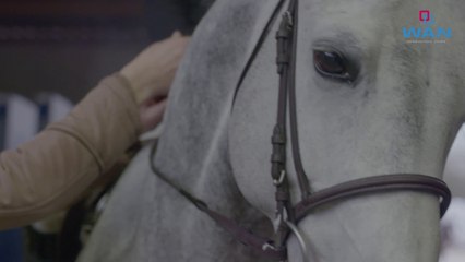 Tournée des As Poneys - Winter Tour de Macon !