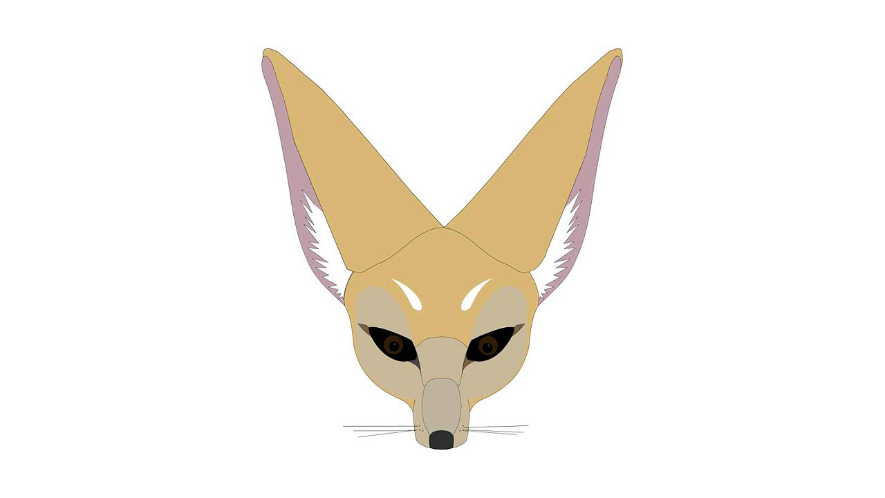 Fennec fox sound effect