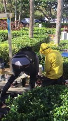 Sewer Valve Installation