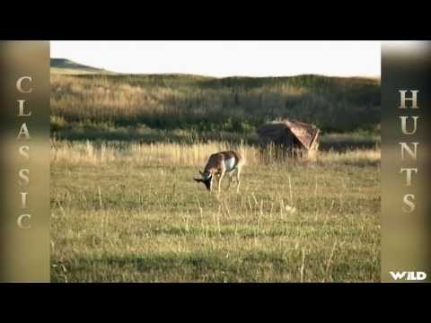 Whitetail Deer Bowhunting The Prairies with The World Hunting Group