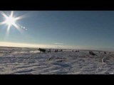 Waterfowl Hunting in Saskatchewan