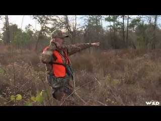 Hunting Whitetail Deer from Tree Stand