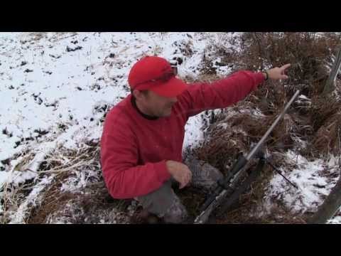 Moose Hunting on the Prairies