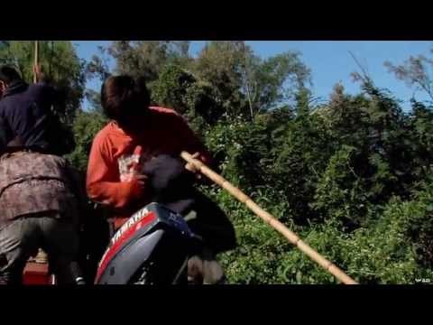 Water Buffalo Hunting in Argentina