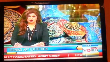 iranian art exhibition report by raza khan