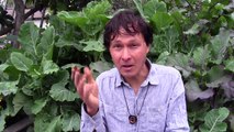 Best Fertilizer to Add to Soil for Better Flavor & More Organic Gardening Q&A