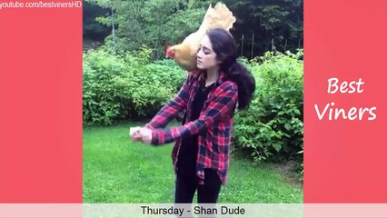 Top 100 Funny Animals Vines 2015 Vine compilation Best Viners