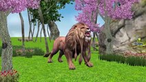 Frozen Finger Family Rhymes | Tiger Cheetah King Kong Cartoons Finger Family Nursery Rhymes