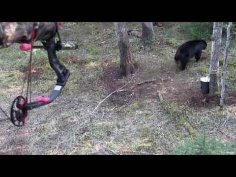 The Hunting Chronicles - Bear Hunting with Bow and Arrow