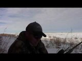 Hunting Coyotes in Alberta