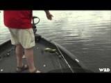 Fishing for Largemouth Bass on the French River