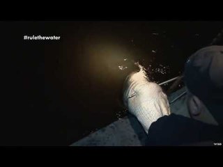 Bowhunting Alligator in Florida
