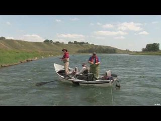 Rainbow Trout Fly Fishing on the Bow River