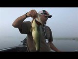 Topwater Fishing for Largemouth Bass in Ontario