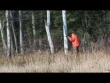 Deer Hunting While Walking In The Woods