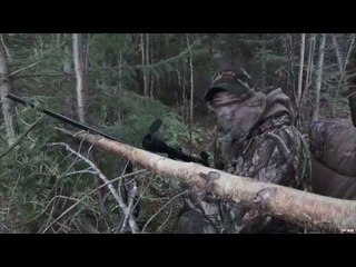 Hunting Black Bear in New Brunswick