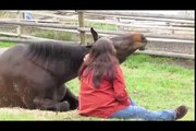 Fare terapia con i cavalli può essere un'esperienza davvero unica