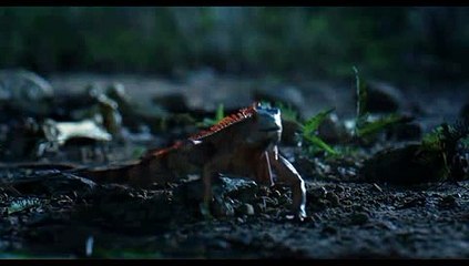 사설카지노鳳«YTA3.C۝M»藝KEYAAA