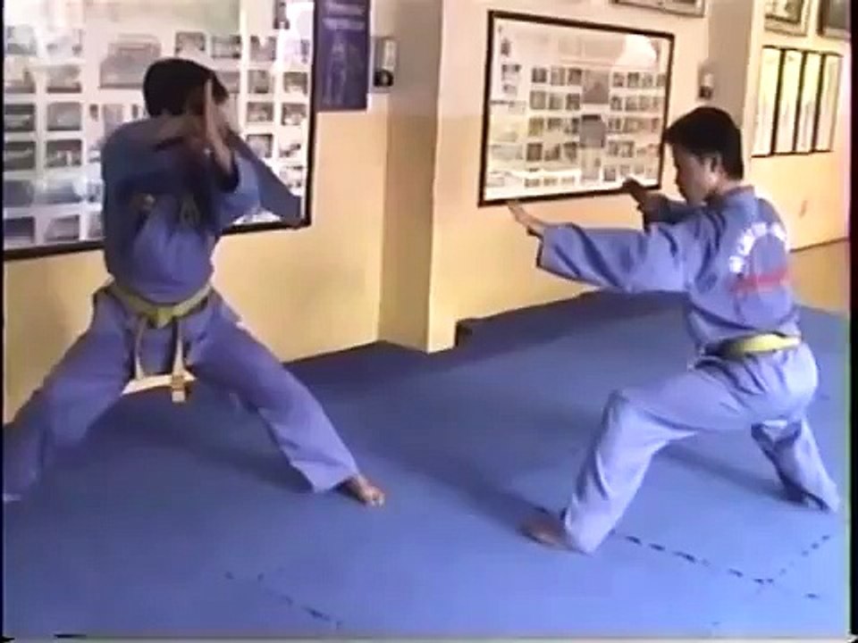 MA TAU -VOVINAM