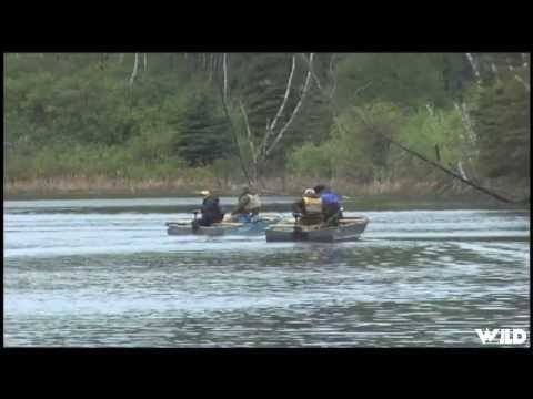 Fly Fishing for Trout on Goose Lake