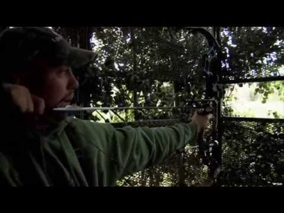 Whiletail Deer Hunting a The Buck of a lifetime