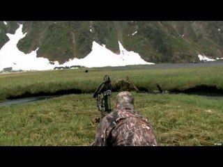 Hunting Black Bear with Bow in Alaska