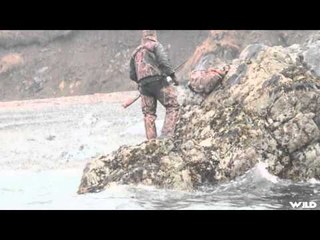 Hunting Black Bear in Alaska with The Hitmen