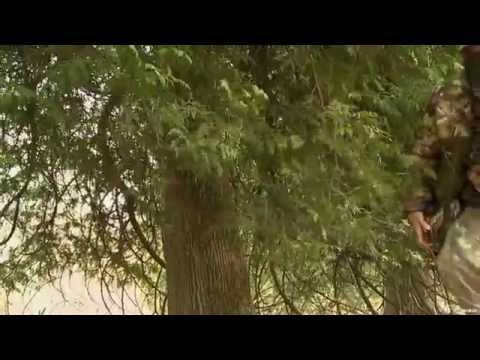 Hunting Wild Turkey with Hunt TV