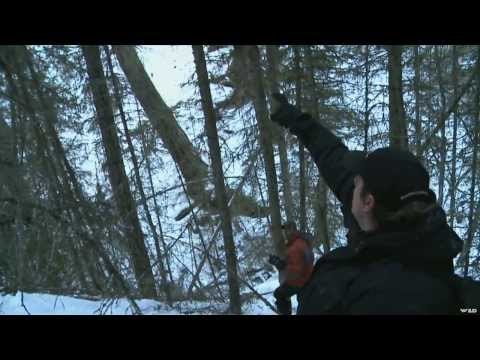 Hunting Mountain Lion in BC