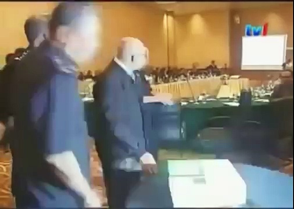 BLACK WOLF Hybrid vs Wolves of Yellowstone [Nature Wildlife Documentary]