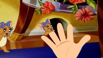 Finger Family& Nursery Rhymes Spongebob Squarepants Tom and Jerry