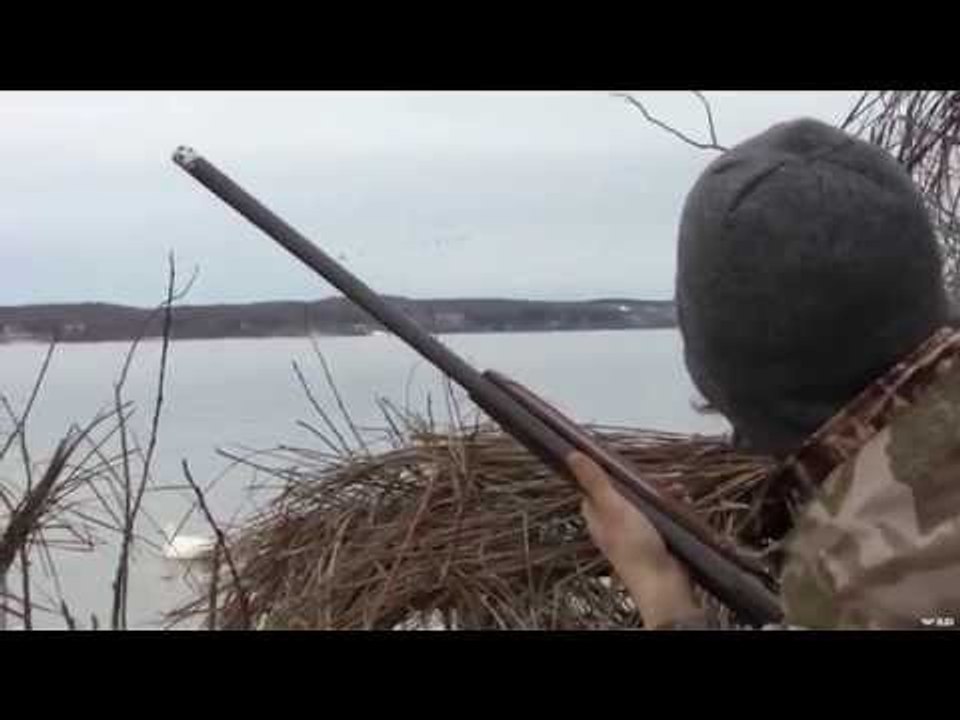 White Goose Hunting 2 Bands
