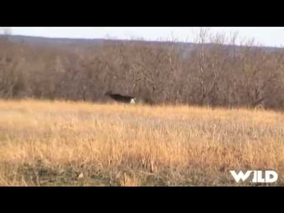 First Whitetail Deer Hunt