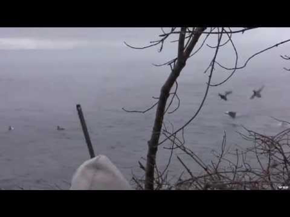 Hunting Late Season Diver Duck Hunting
