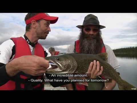Fishing for Brook Trout in Quebec