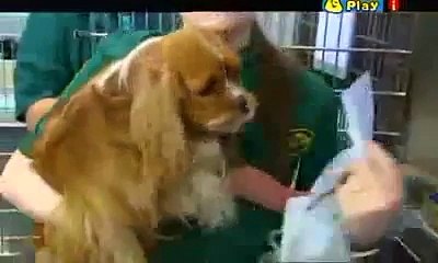 Something Special Full Episodes HELLO HELLO 7 Mr Tumble 2014