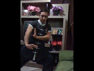 academia de kung fu e tai chi chuan do Brasil