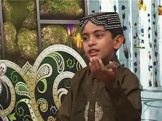Aa-Vee-Ja-Walail-Zulfan-Walia-By- Mehran-ali-qadri-naat  (35)