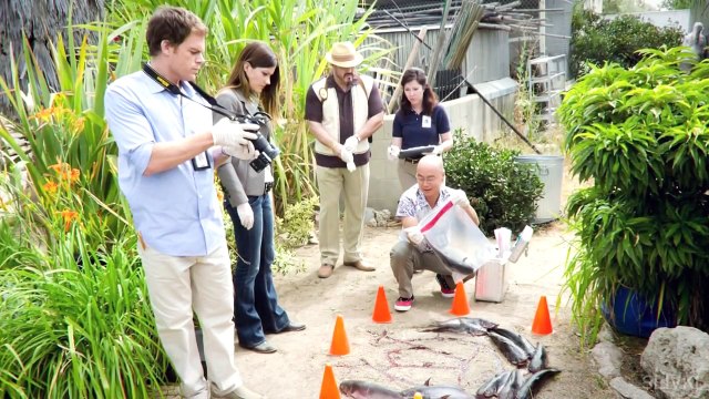 10 ГРЯЗНЫХ ПРОФЕССИЙ ЗА КОТОРЫЕ ХОРОШО ПЛАТЯТ