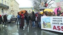 Bordeaux: marche blanche pour dénoncer les pesticides