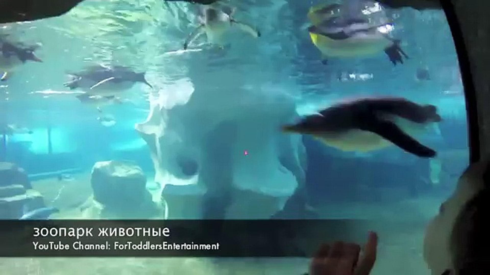 Зоопарк Животные для детей