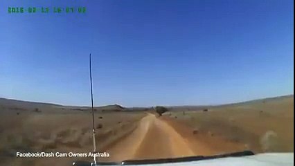 Incredible footage of a driver narrowly misses Kangaroo