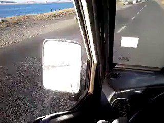 Anjing ini membantu pemiliknya mendorong kursi roda. Baik sekali anjing ini