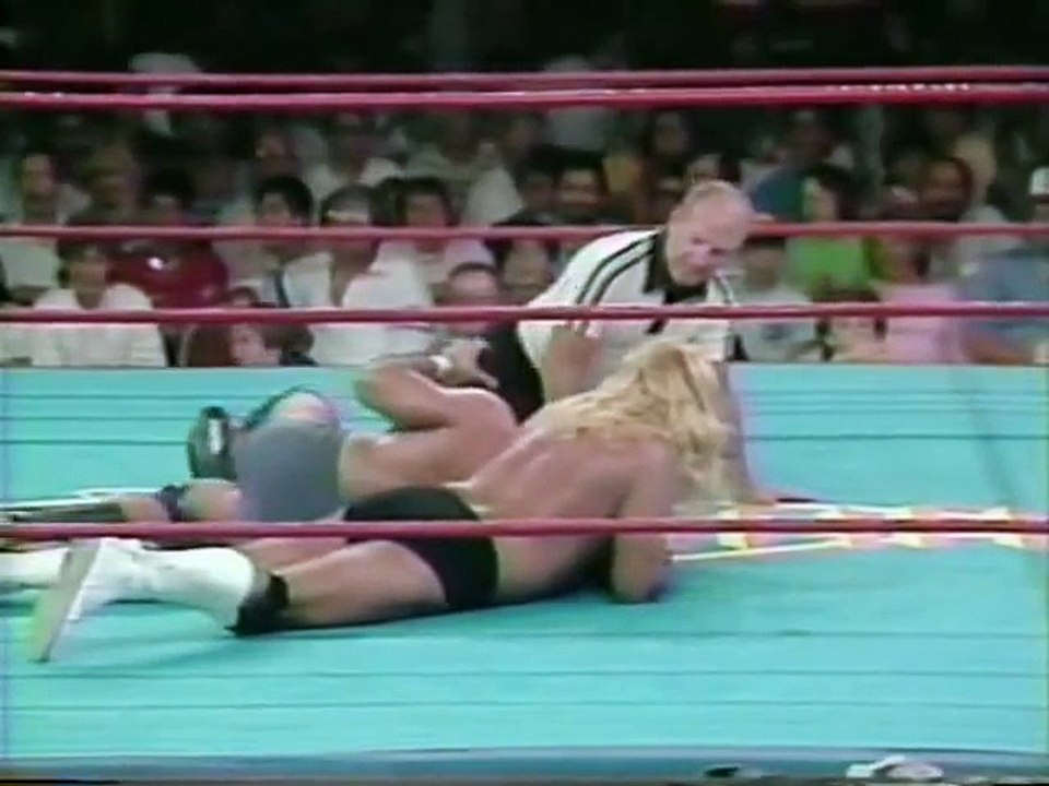 Rick Martel vs Michael Hayes