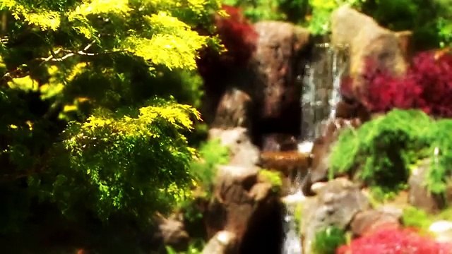 Flowers. Summer. Nature. Beautiful. Цветы. Лето. Природа. Красиво