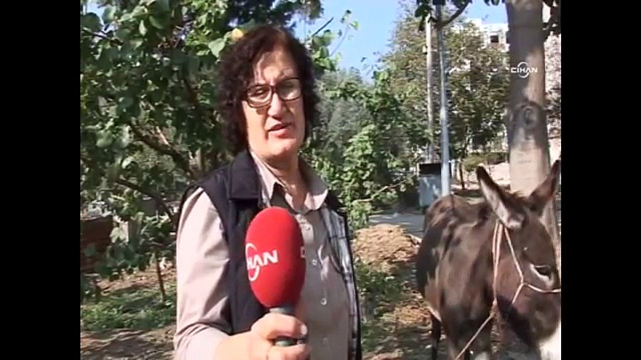 Protez ayaklı eşeğe yuva bulundu