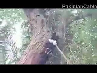 Mojza Miracle in ashora karbala Watch Video and Share