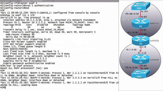 311.Configuring Neighbor Authentication